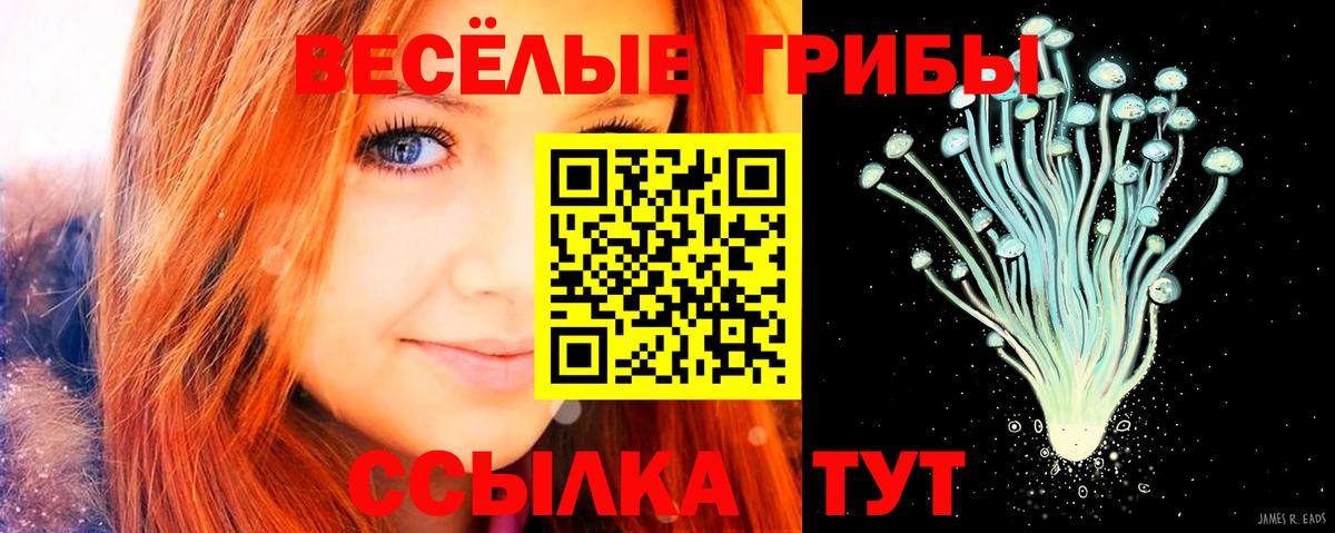Оренбург  Галлюциногенные грибы GOLDEN TEACHER  Вход с VPN  Псилоцибиновые грибы GOLDEN TEACHER 