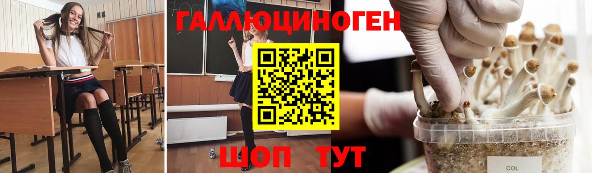 Псилоцибиновые грибы мицелий Оренбург